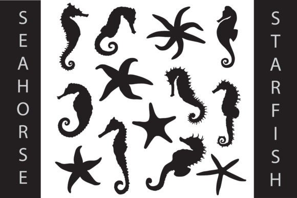 Download Seahorses &amp; Starfish Silhouette - Silhouette Collection